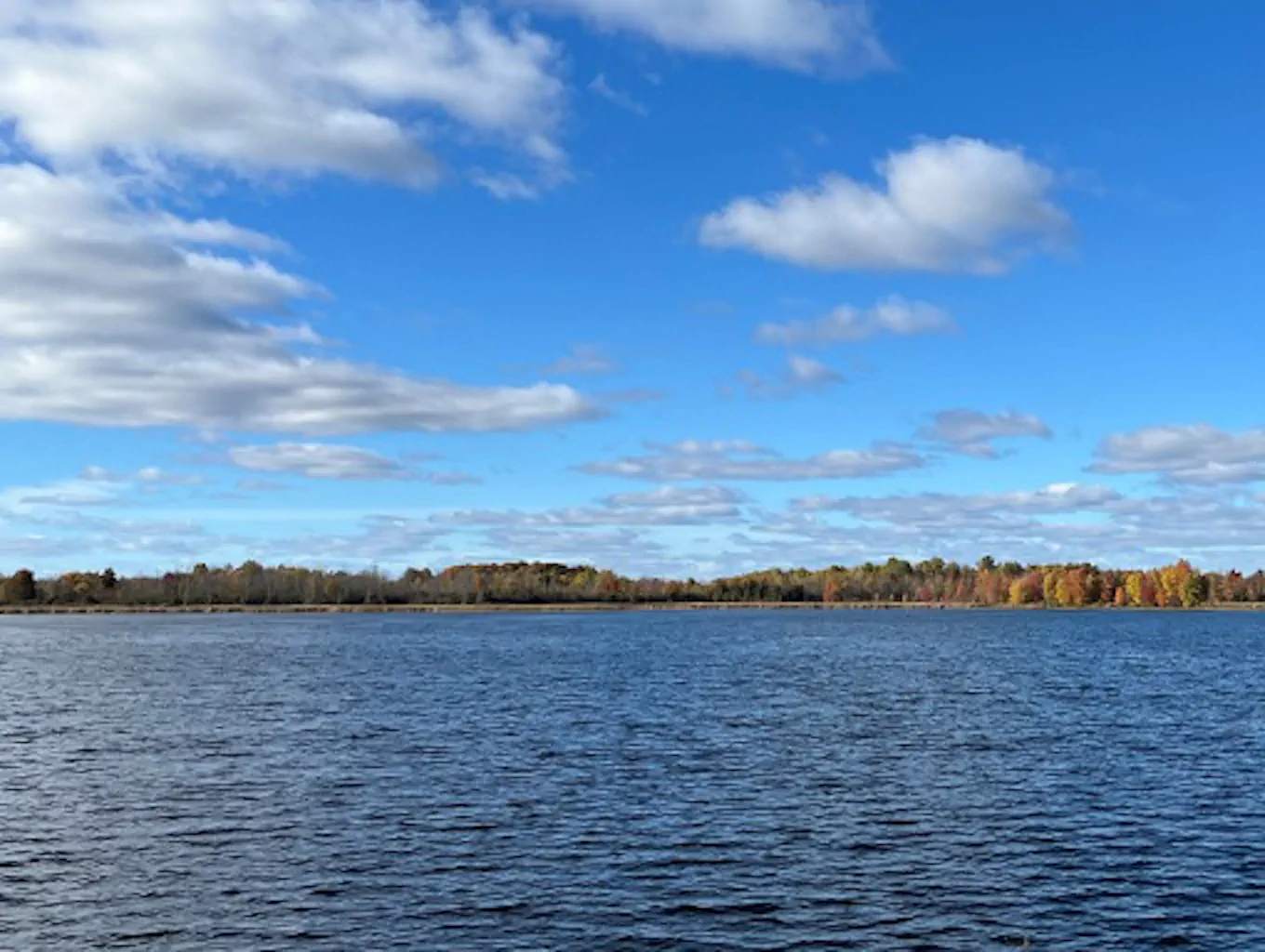 residential lakefront property_Key Challenges - CM3 Environmental
