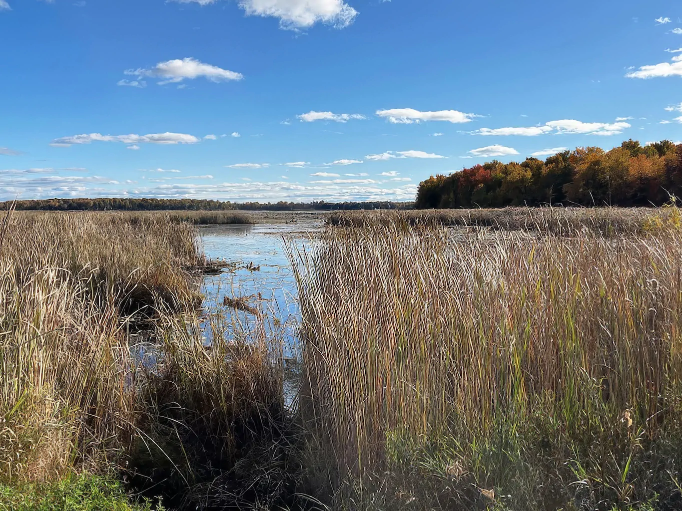 Environmental Impact Assessment for a residential lakefront property