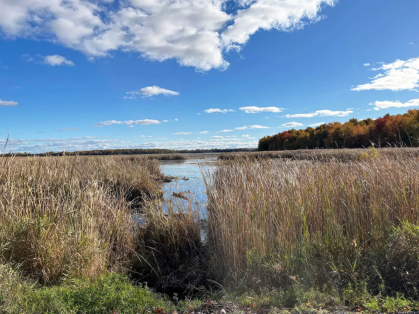 Environmental Impact Assessment for a residential lakefront property
